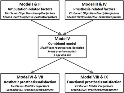 Factors Associated With Prosthesis Embodiment and Its Importance for Prosthetic Satisfaction in Lower Limb Amputees